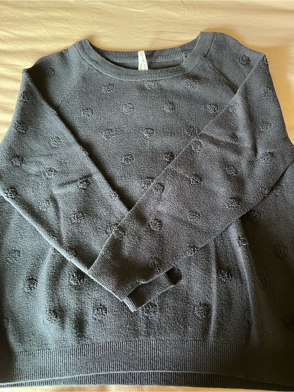 Leo & Nicole Navy Blue Crewneck Sweater with Dot Texture